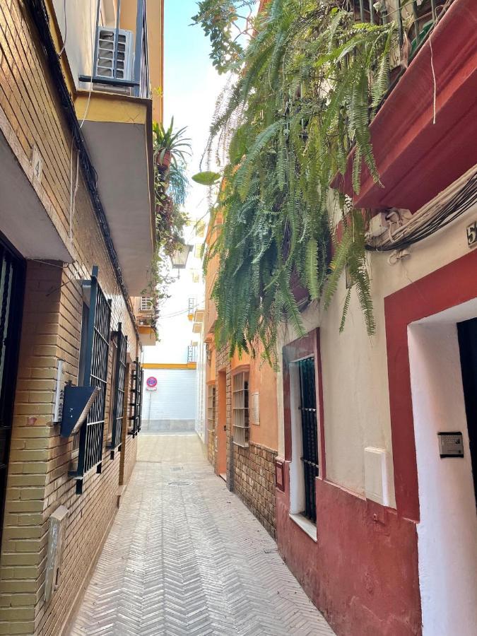 Barrio De Santa Cruz, La Juderia. Zona Inmejorable Apartment Севиля Екстериор снимка